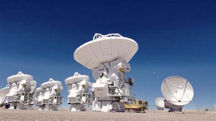 Towering High: Unveiling The Secrets Of 