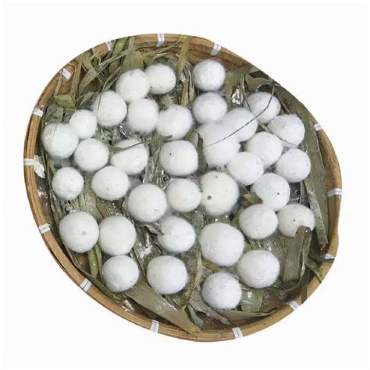 Traditional methods to make jiuqu in China's Guizhou - Xinhua