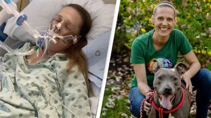 Twitch streamer headbutted by her dog so hard she has to end stream early