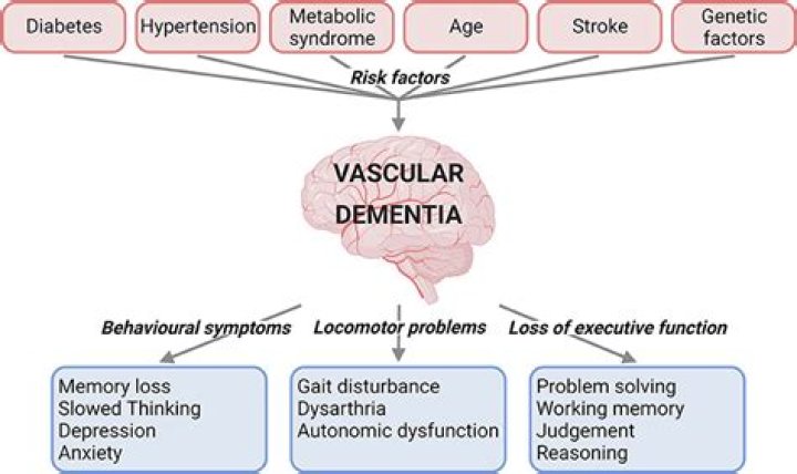 Types of vascular dementia | Alzheimer's Society