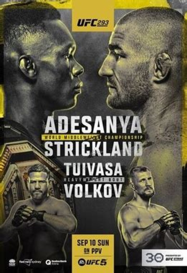 UFC 293: 