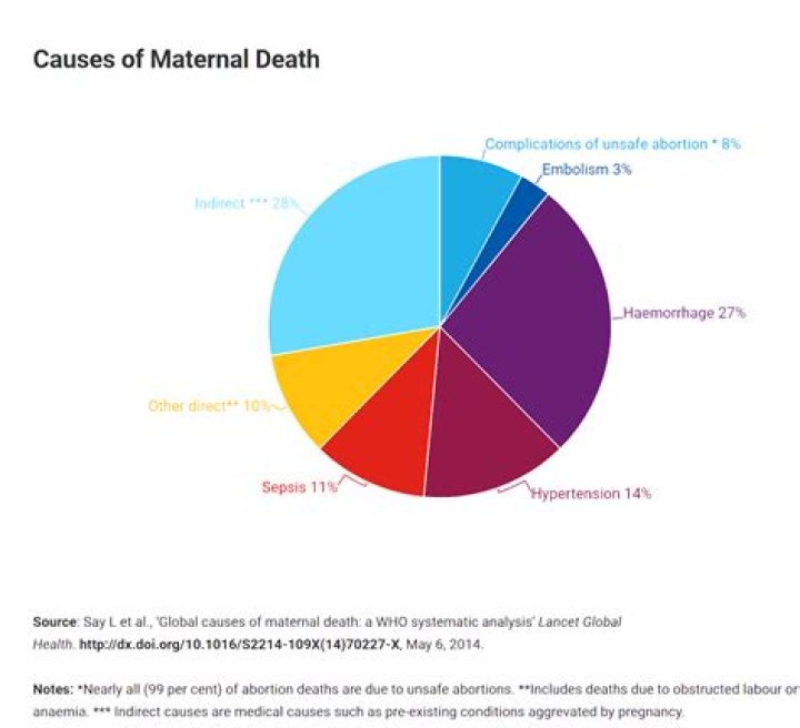 Understanding SWAT Deaths: Causes, Statistics, And Impact