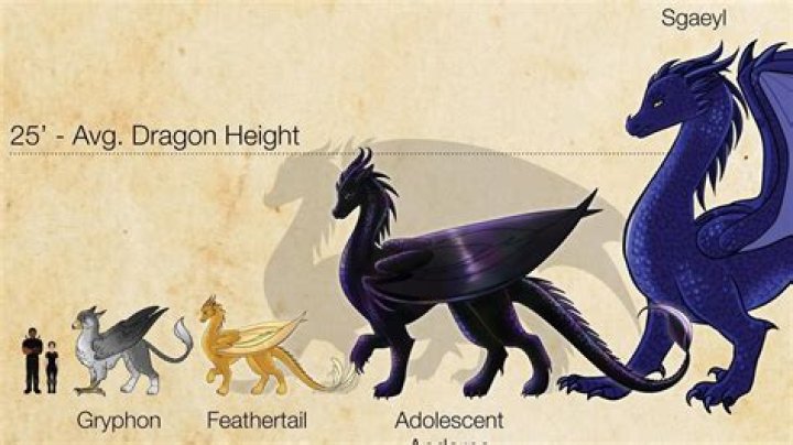 Understanding The Baide Dragon: A Comprehensive Guide