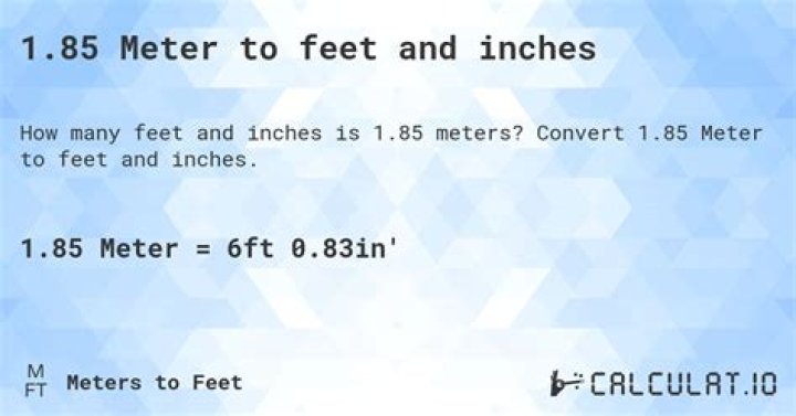 Understanding The Conversion Of 1.85 Meters To Feet