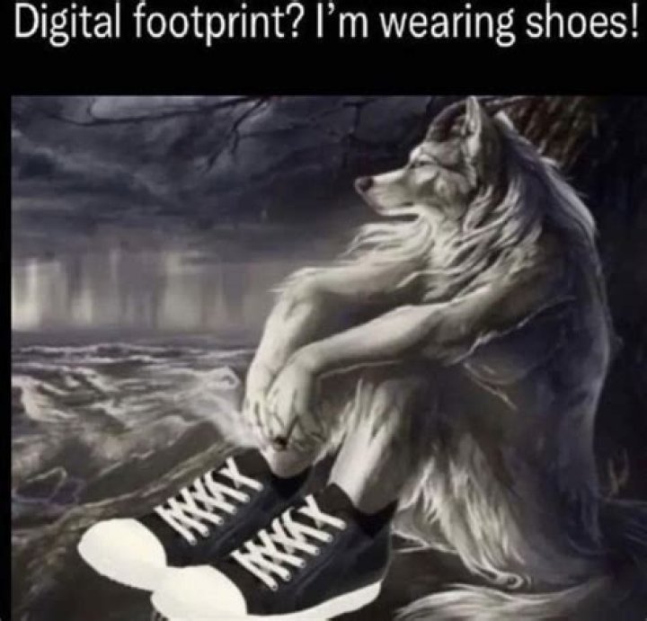 Understanding The Lonely Wolf Sitting Meme: A Deep Dive Into Its Significance And Impact