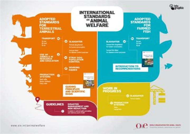 Understanding Zoochip: The Future Of Animal Welfare And Conservation
