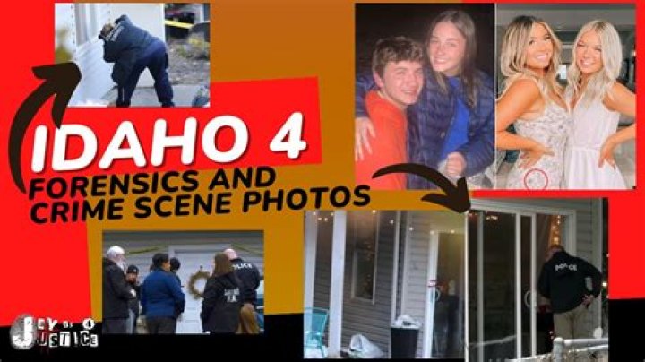 Unearthing Truth: The Intriguing World Of Crime Scene Photos