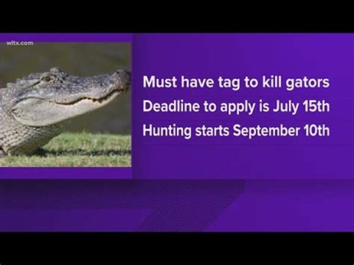 Unlock The Secrets: Unveiling The Alligator Tag Quota In Louisiana