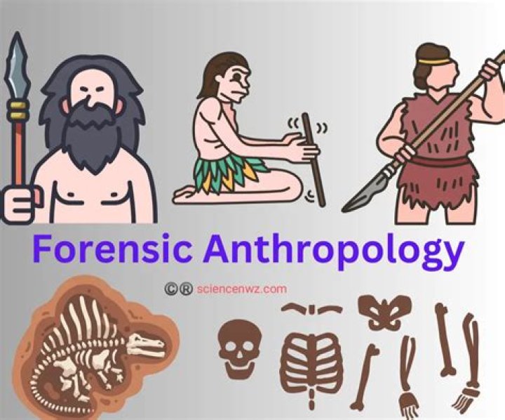 Unlocking The Secrets Of Forensic Anthropology: Discoveries And Insights With Mark Cline
