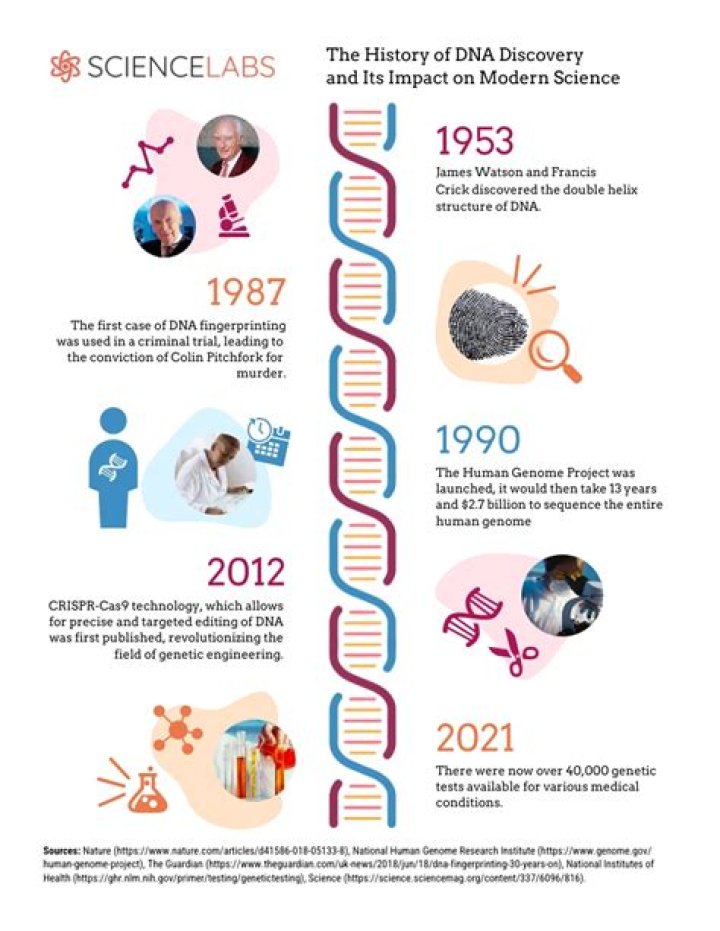 Unravel Your Mortality: Discoveries From 