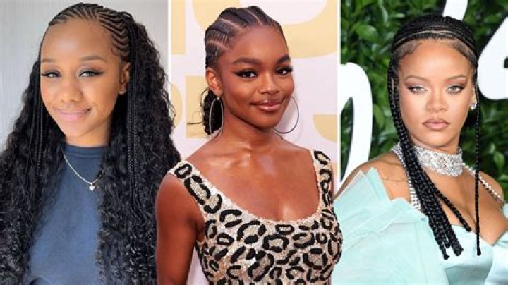 Unveiling The Allure Of Tribal Braids: A Visual Journey