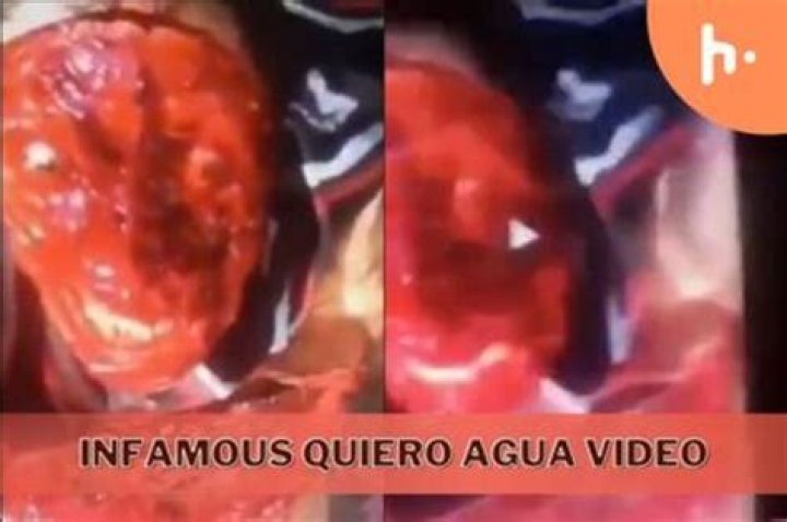 Unveiling The Dark Underbelly Of Gore Video Agua