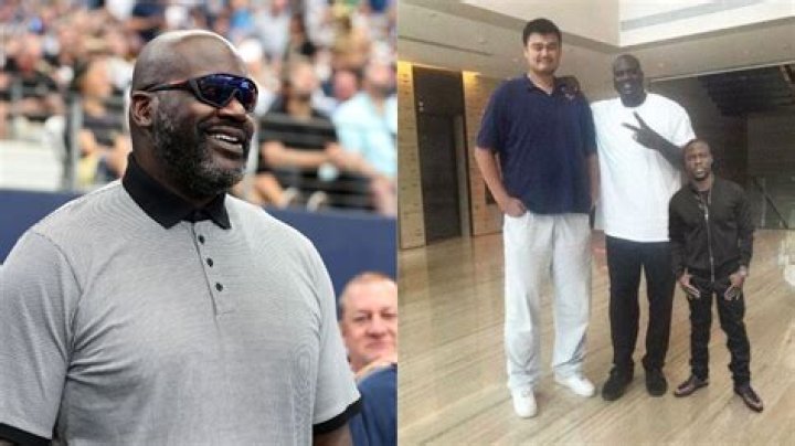 Unveiling The Extraordinary Height And Impact Of Sun Mingming
