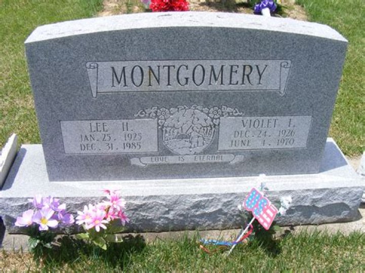 Unveiling The Life And Legacy Of Lee H. Montgomery