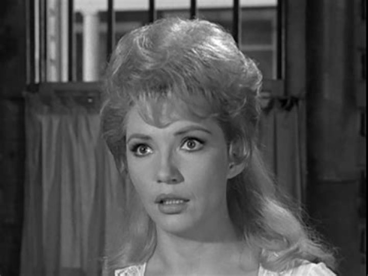 Unveiling The Life Of Jenny Lee Arness: A Talented Actress