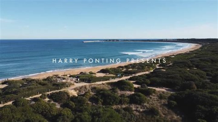 Unveiling The Masterstrokes Of Harry Hickford: Discoveries And Insights Await