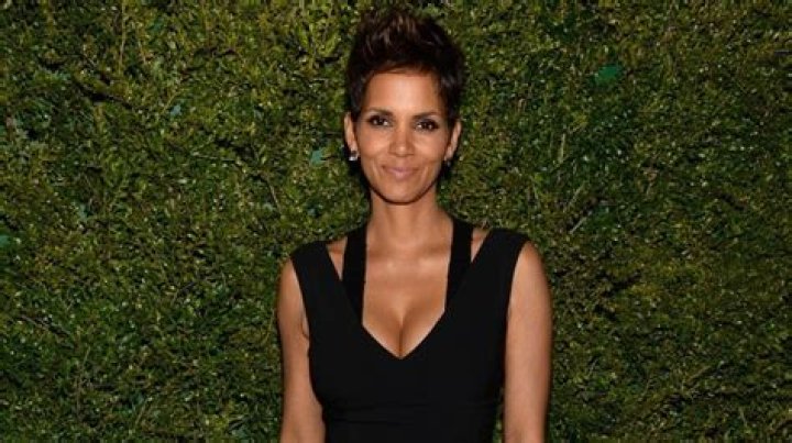 Unveiling The Truth: The False Allegation Of Wesley Snipes Assaulting Halle Berry