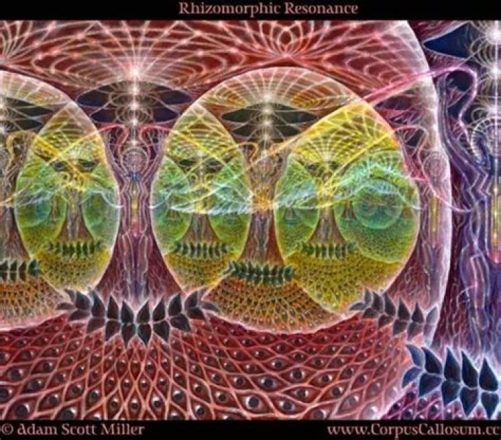 Unveiling The Visionary Art Of Marilyn Miller Scott