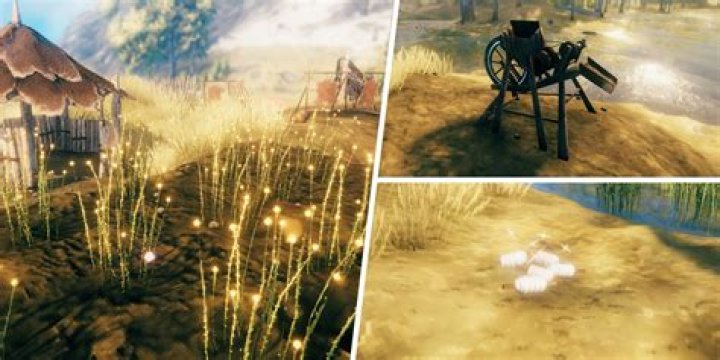 Valheim: How to Get Flax