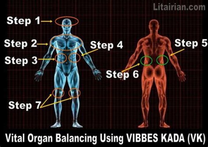 VIBBES KADA (VK): The World's Best Energy Healing Tool