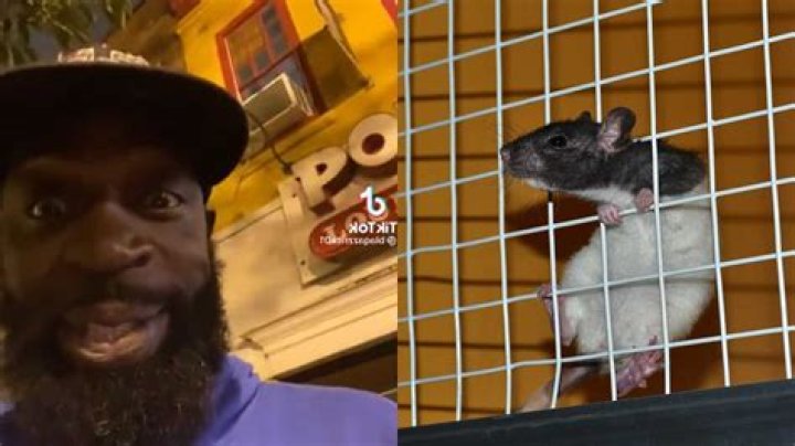 Viral Popeyes TikTok gets rat-infested restaurant shut down