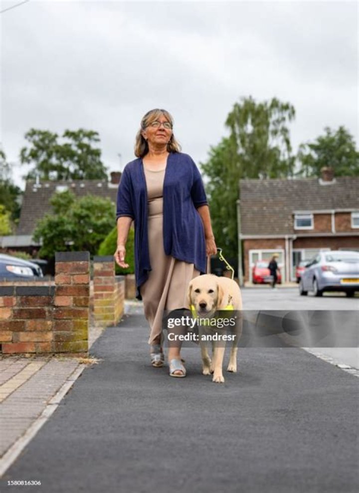 Visually impaired Arizona woman describes her guide dog as 'life-changing'