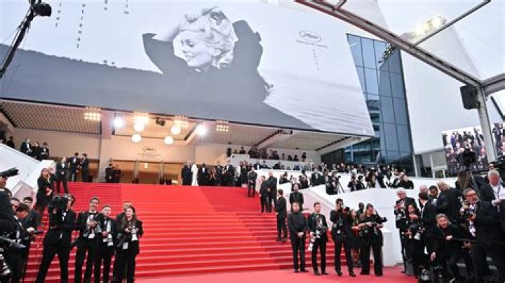 Von Cannes nach Pirmasens - Was macht eigentlich Norbert… – 11FREUNDE