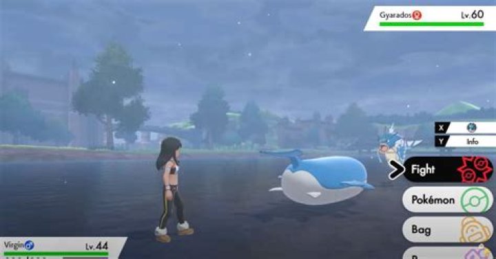 Wailord highlights huge flaw in Pokemon Sword and Shield