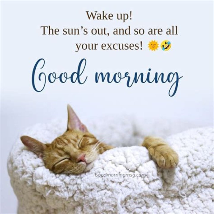 Wake Up With A Smile: The Joy Of Funny Good Morning Memes