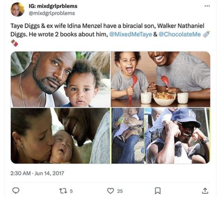 Walker Nathaniel Diggs: Facts About Taye Diggs's Son