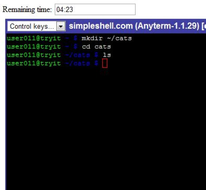 Web Based One Click Linux Shell Access