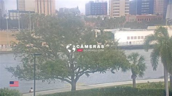Webcams - Downtown Tampa