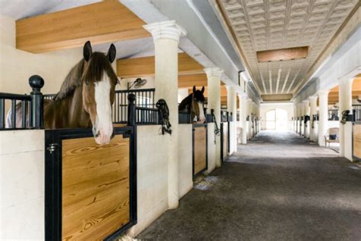 	Wellington Barn Tour is back with peek into luxurious equestrian facilities	