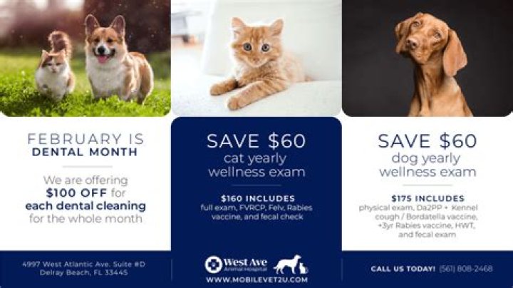 	West Ave Animal Hospital opens new Boynton location	