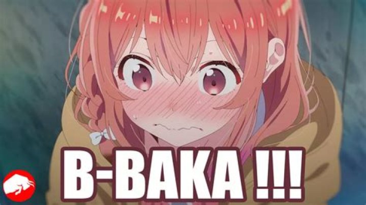 What Does Baka Mean in Anime?