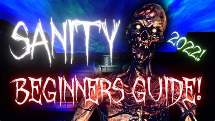 What Does Sanity do in Phasmophobia?