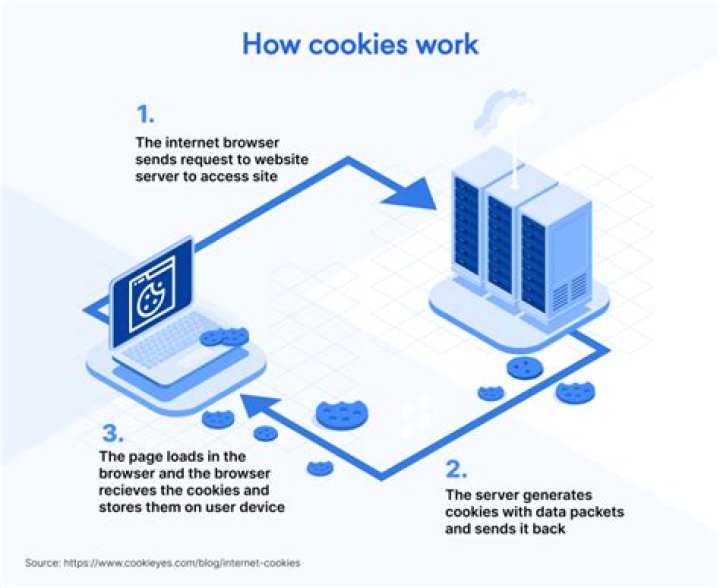 What Is a Website Cookie? How Cookies Affect Your Online Privacy