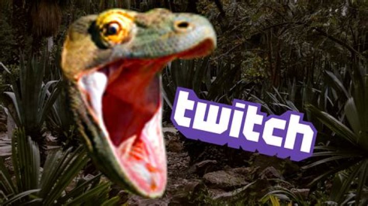 What is KomodoHype? How Twitch's new PogChamp came to be