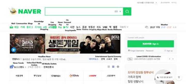 What Is Naver, a.k.a. 