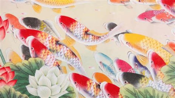 What’s with China’s internet users and this fish?