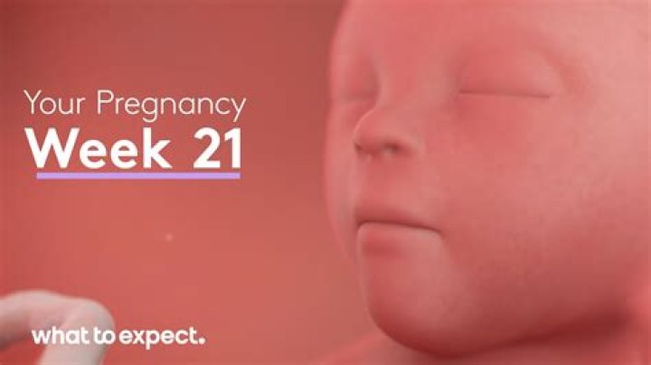 What to Expect and How Can You Watch?