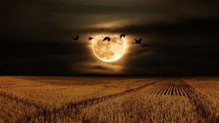 When to see the full moon in October