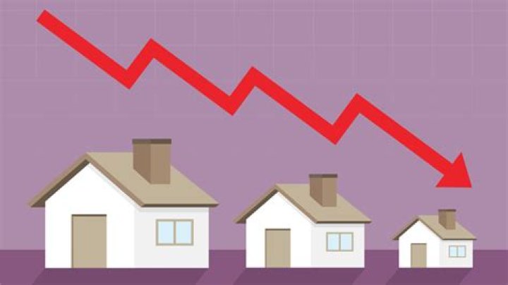 When Will Housing Market Crash? Investor Warning ‘Black Swan’ Moment Coming Soon