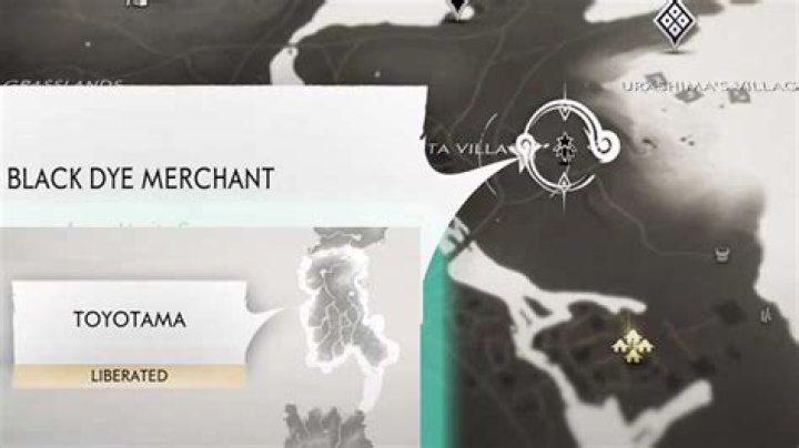 Where to Find Black Dye Merchant