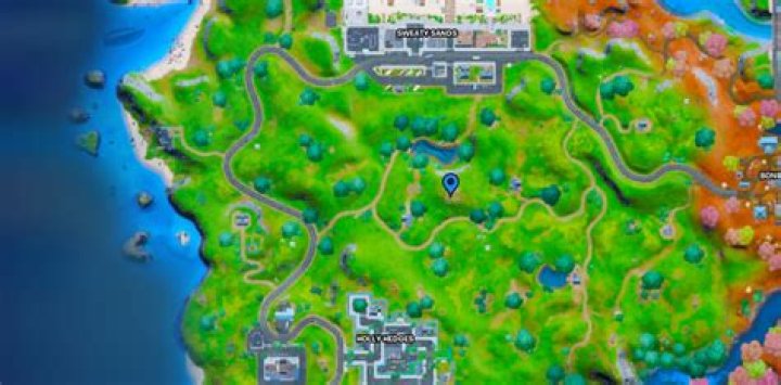 Where to Find Dual Pistols in Fortnite
