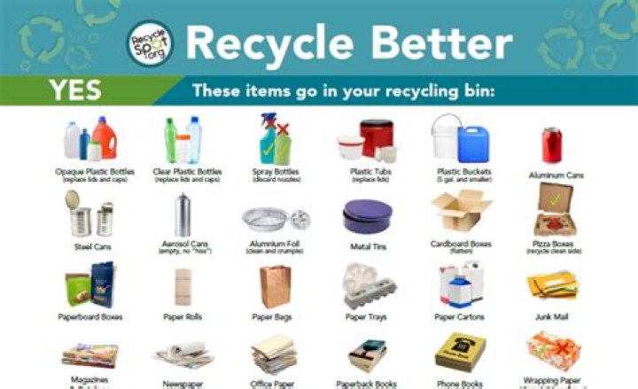 	Where to recycle that Christmas tree in Broward, Palm Beach, Miami-Dade	