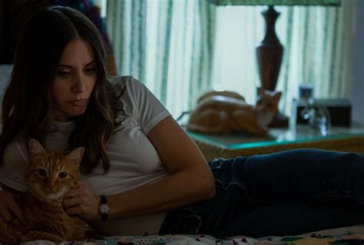 Where to Watch 'Somebody I Used to Know' Starring Alison Brie