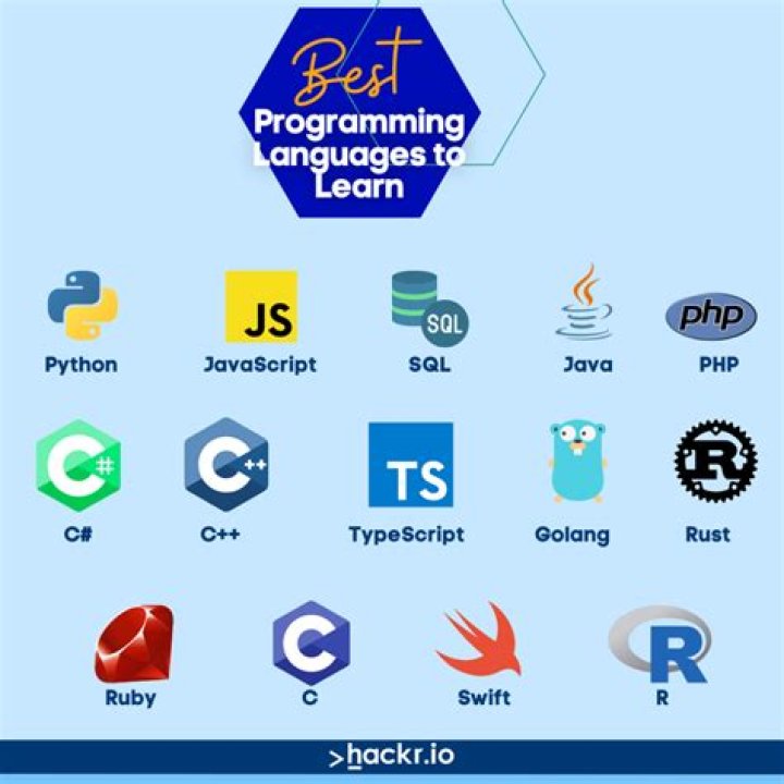 Which Is Best for Learning Programming?