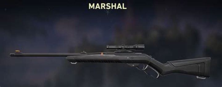 Who Is the BEST Sniper in VALORANT? | The Hot List