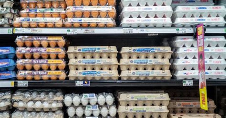 Why eggs have been so expensive this year